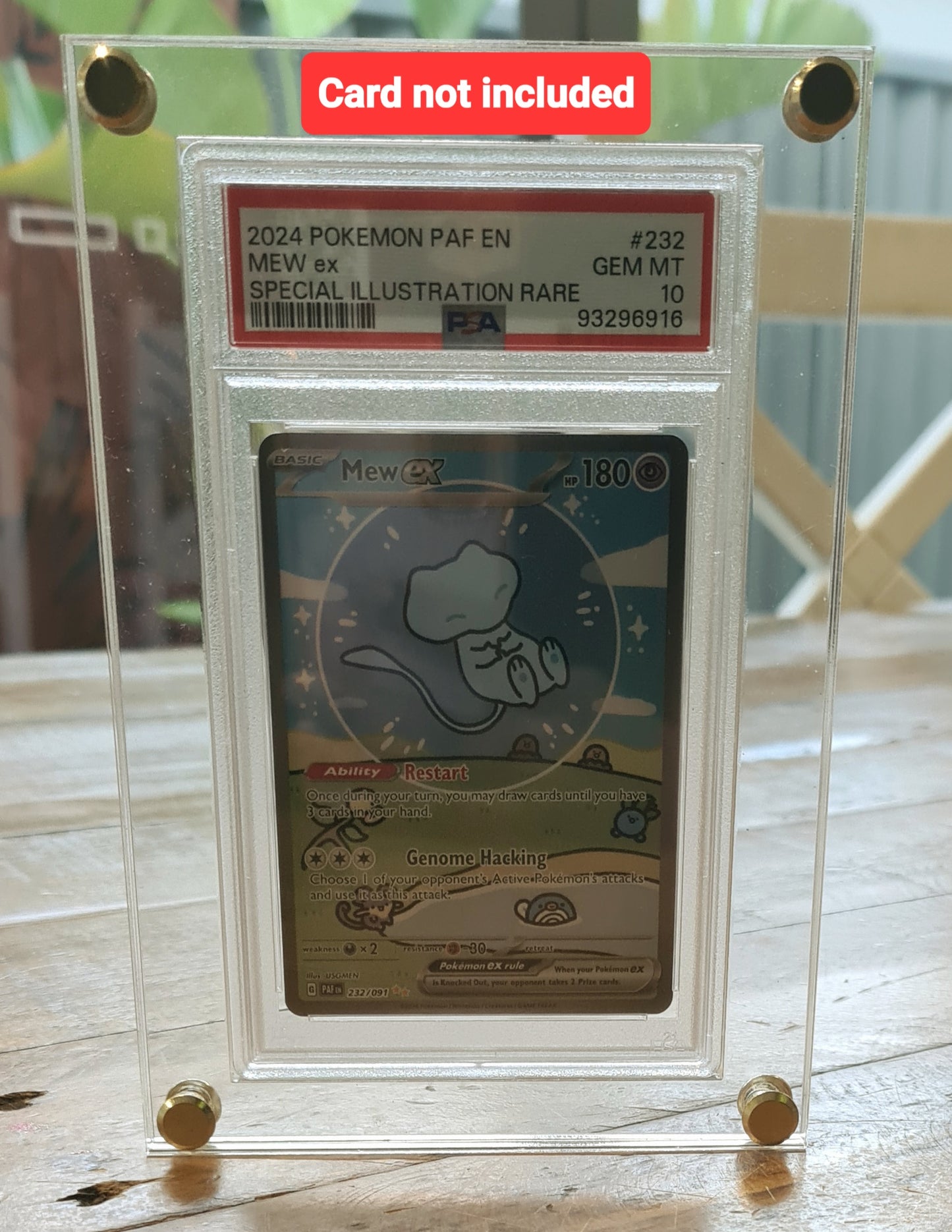 PSA Trading Card Display Case