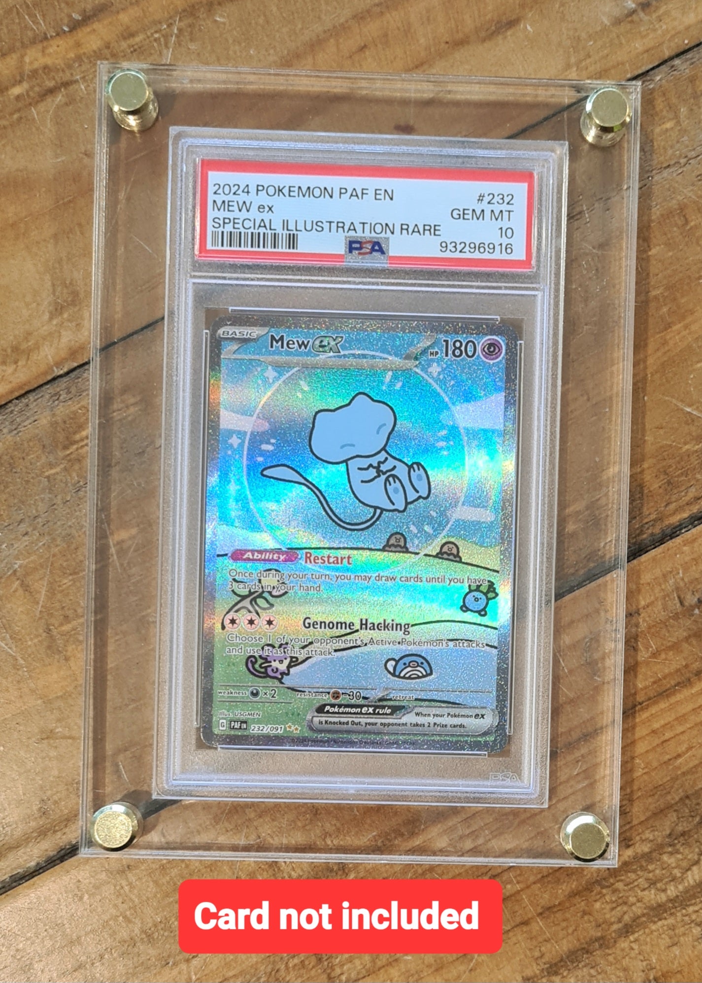 PSA Trading Card Display Case