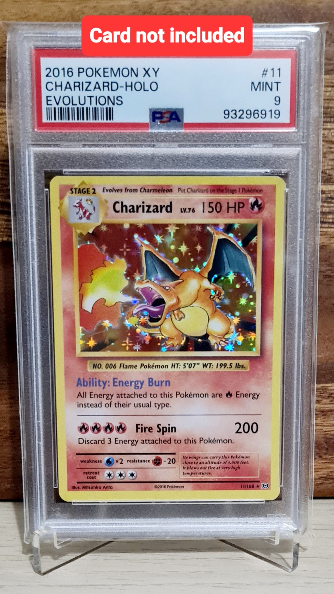 Collector Card Stand